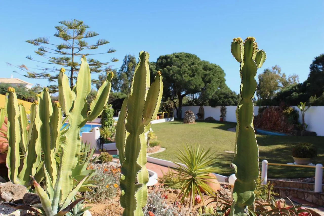 Casa Areias Boutique Apartments Albufeira Portogallo
