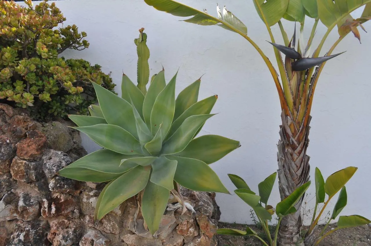 Casa Areias Boutique Apartments 阿尔布费拉